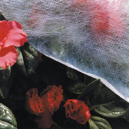 Agryvoile – référence 6030