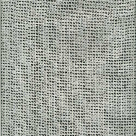 Бяла мрежа за прикриване - Класифицирана B1