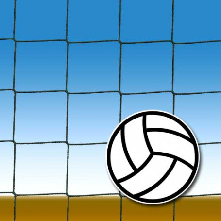 Мрежа за волейболно игрище
